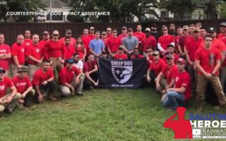 Sheep Dog Impact Assistance