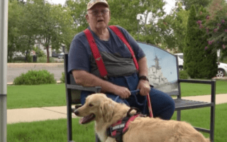 LifeLine Service Dogs